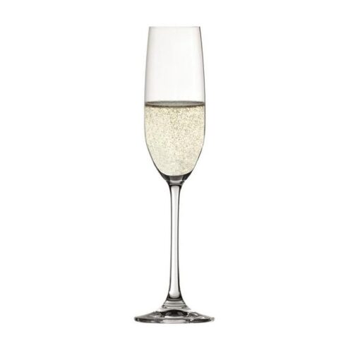 Spiegelau Champagneflute 210ml Salute